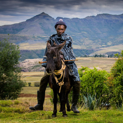 Motlatsi Khosana: The 50% wool royal blanket honoring Crown Prince Lerotholi. Features 60 Basotho heart motifs symbolizing loyalty. Colorfast, non-pill, ethically woven in SA. Includes care instructions.
